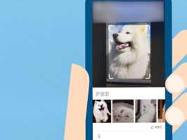 強大以圖搜圖技術是基于什么創造出來的？